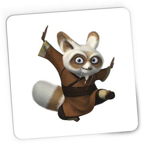 kung fu panda instructor